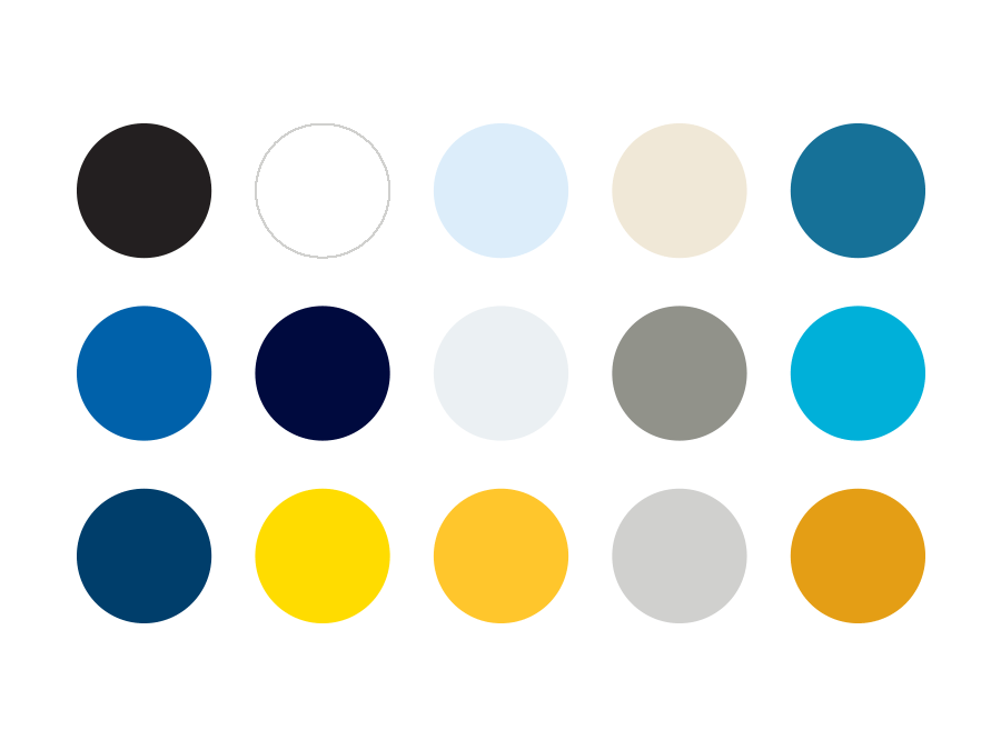 Visual Identity Color