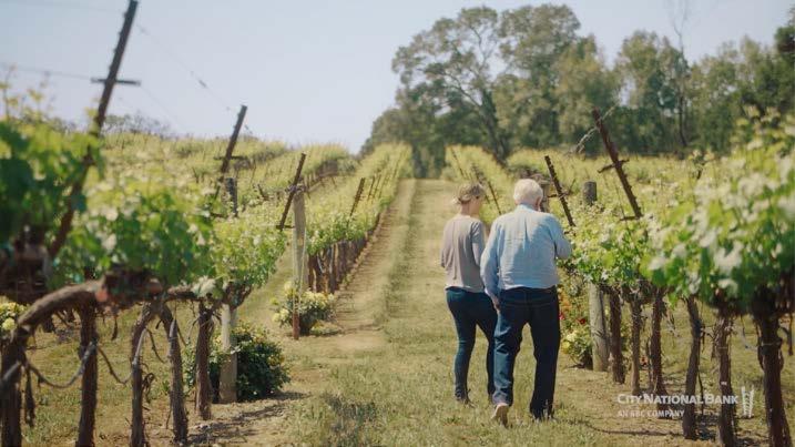 People in Vineyard
